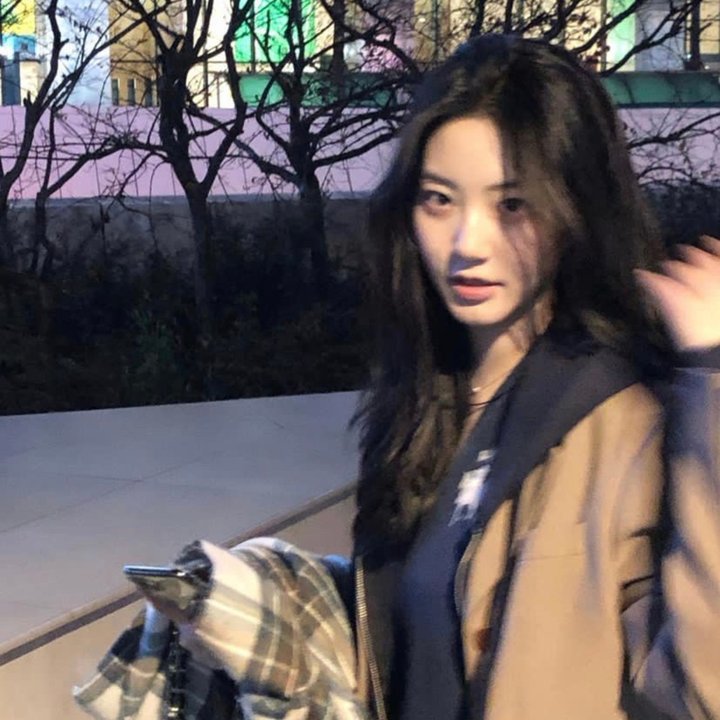 查莉成长日记第三季