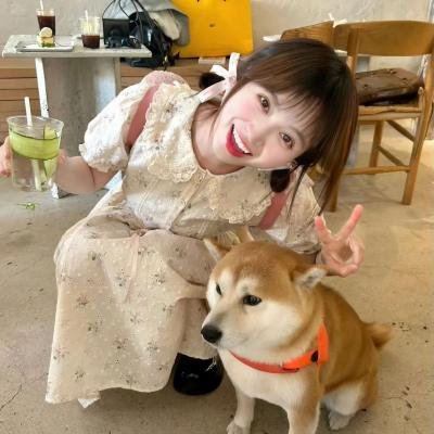 孤单的豌豆